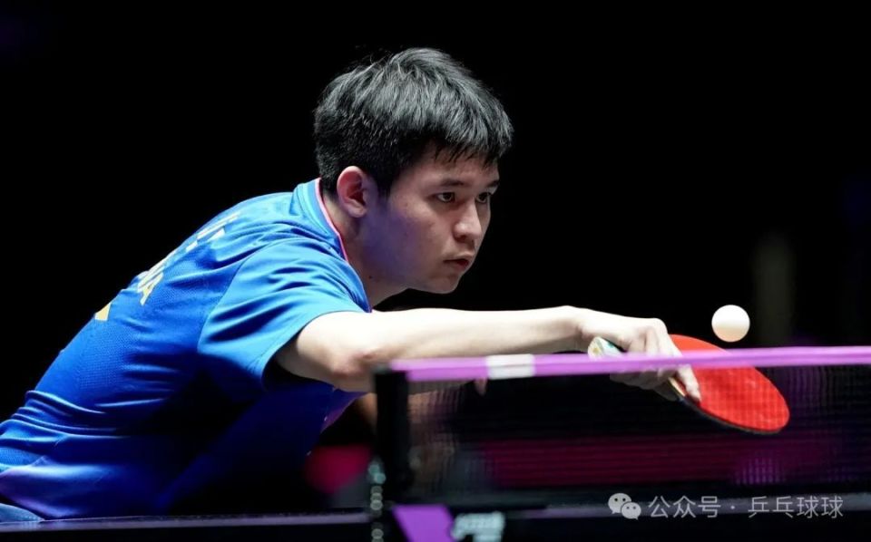 的观赏性和 的观赏性和