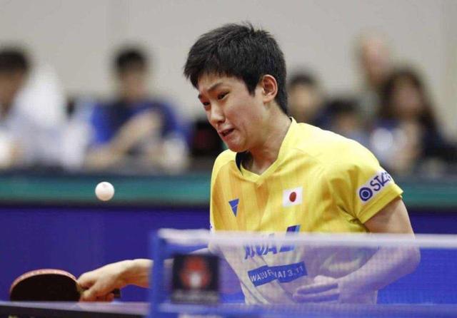 聚焦足协新 聚焦足协新